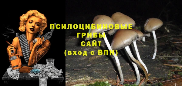 ECSTASY Надым