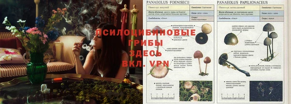 ECSTASY Надым