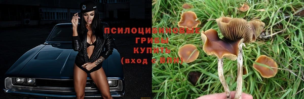 амф Наволоки
