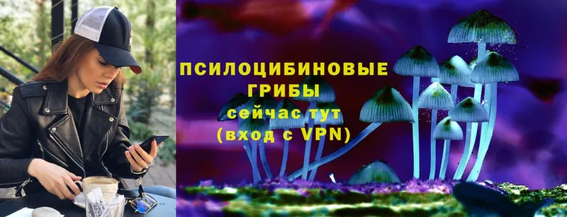 Псилоцибиновые грибы ЛСД  где найти   Нижнекамск 