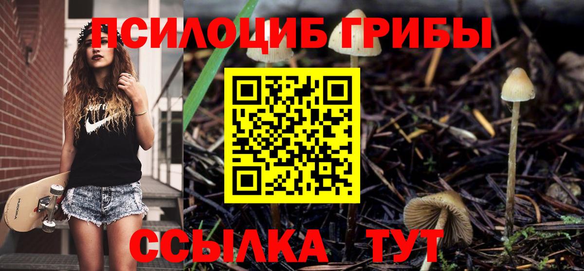 Галлюциногенные грибы Magic Shrooms Нижнекамск